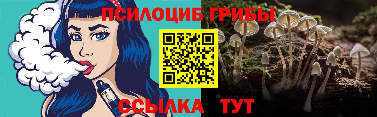 Дагестанские Огни  Псилоцибиновые грибы мухоморы  Вход с VPN 